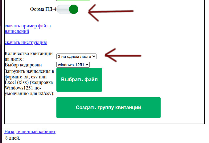 Выбор опций для формирования квитанций с QR кодом из excel
